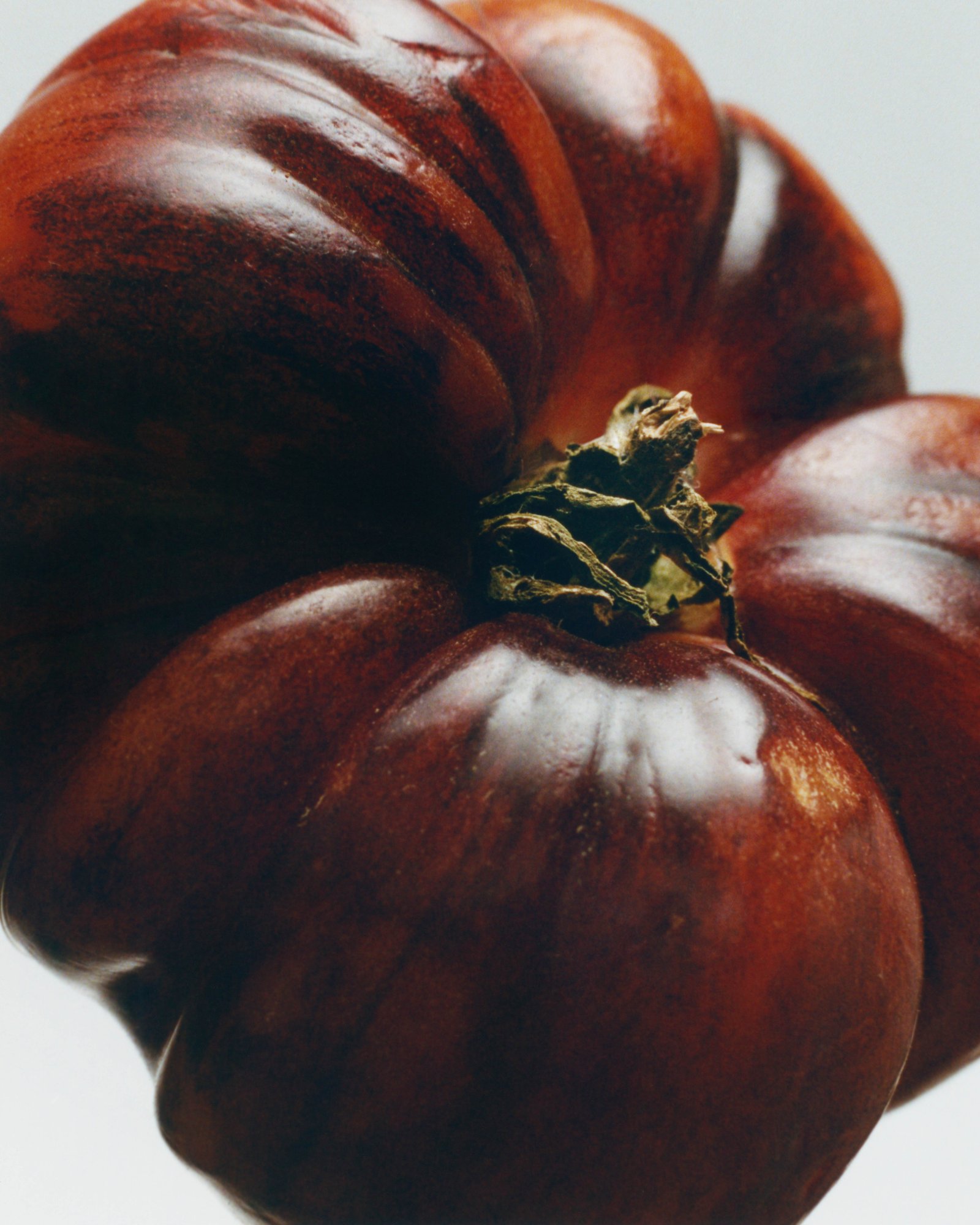 tomato Loewe perfume