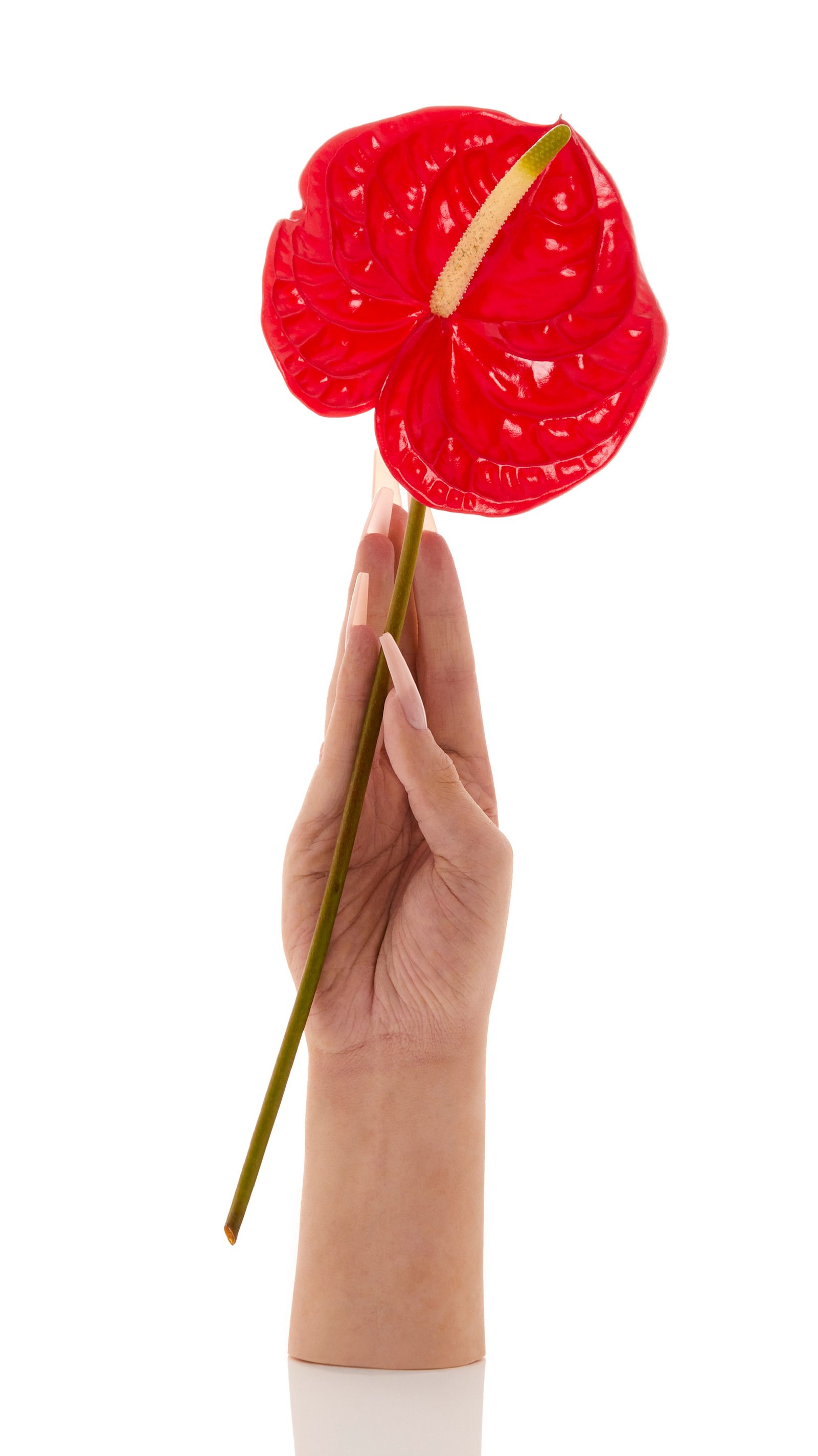 Loewe SS23 Set Design by Maria Ona - hand holding a flower